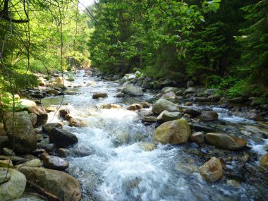 kayaların üzerinden akan güzel temiz dağ dere