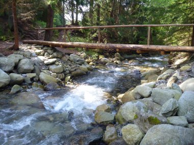 kayaların üzerinden akan güzel temiz dağ dere