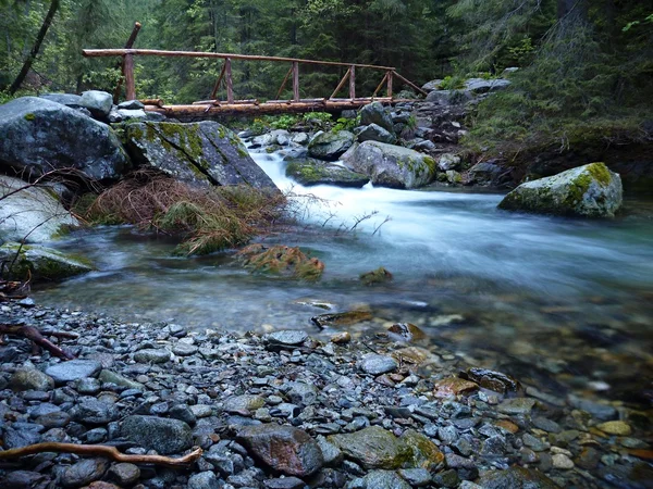 Bellissimo torrente di montagna pulito che scorre sulle rocce — Foto Stock