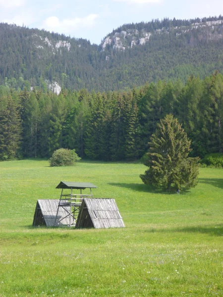 Kleine Holzhütte auf einer grünen Wiese — Stockfoto