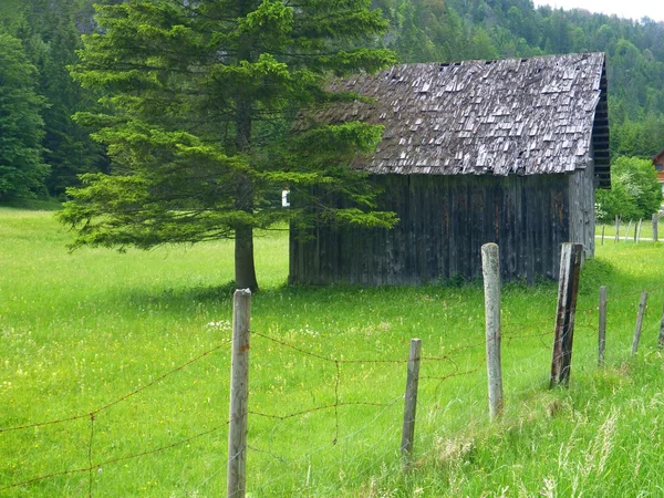 Kis, fából készült kunyhó zöld réten — Stock Fotó