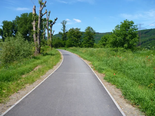 Asphaltierter Radweg in der grünen Wiese — Stockfoto