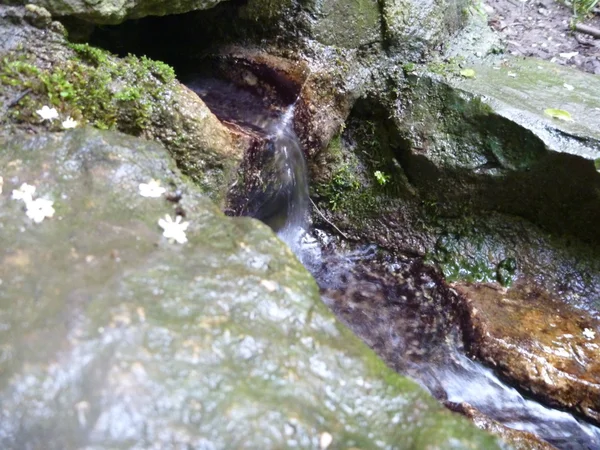 Pequeno poço natural com pedras musgosas — Fotografia de Stock