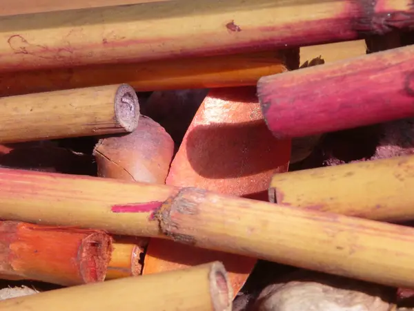 Detail of wooden bamboo decoration — Stock Photo, Image