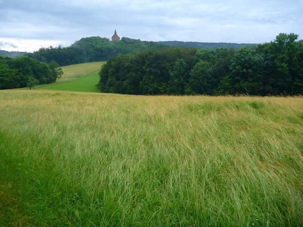 Landschaft mit grünen Wiesen und einer Kirche auf einem Hügel — Stockfoto