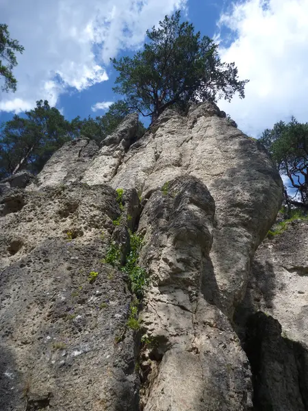 석회암 바위 등반 지역 frenkenjura에서 — 스톡 사진