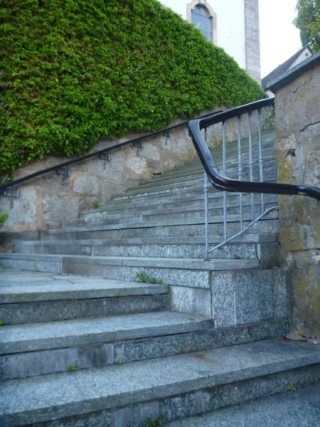 Escalera histórica con barandilla y hiedra verde —  Fotos de Stock