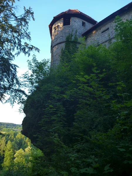 Vieux château avec une tour en Allemagne — Photo