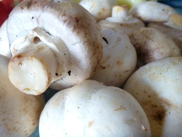 신선한 원료 백색 champignons의 힙 — 스톡 사진