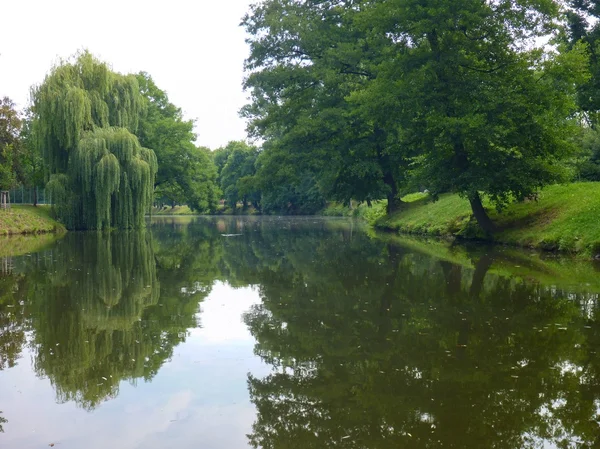 Ruhiger grüner Park mit kleinem Teich — Stockfoto