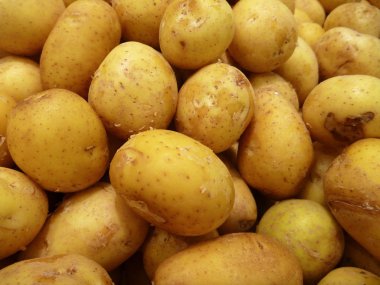 taze Çiğ patates yığını