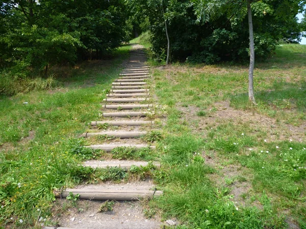 Escalera exterior simple en un parque —  Fotos de Stock