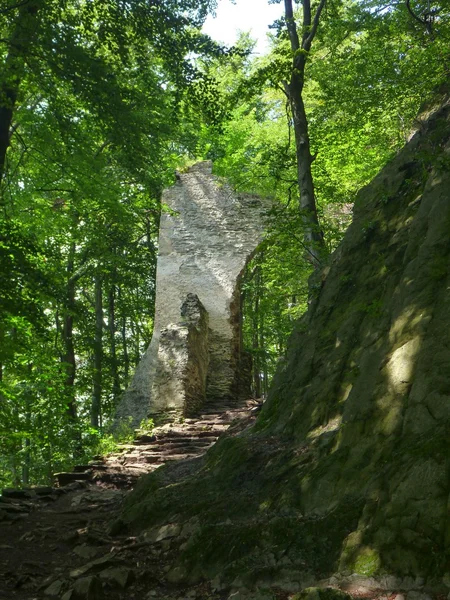 Ruiny zamku doszło w północnej części Czech. — Zdjęcie stockowe