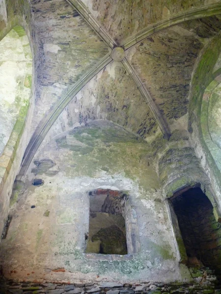 Detail van de bouw van een verlaten middeleeuws kasteel — Stockfoto
