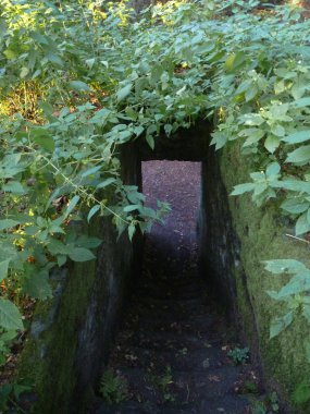bir kule northern Bohemia'deki / daki küçük tarihi kale