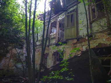 bir orman evde terk edilmiş ruinded