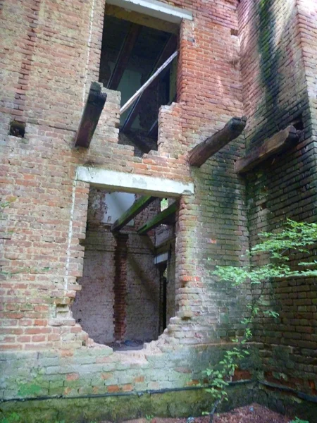 Verlassenes zerstörtes Haus im Wald — Stockfoto