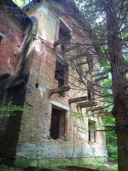 Casa en ruinas abandonada en un bosque — Foto de Stock