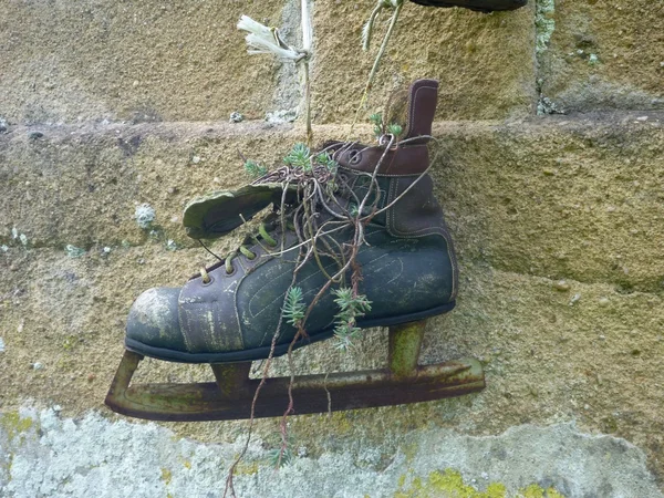 Bloempot gemaakt van een oude ice skate — Stockfoto