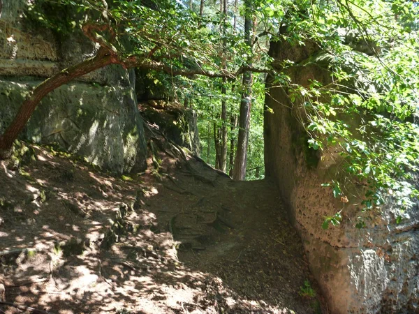 Belles formations de tours de grès en République tchèque — Photo