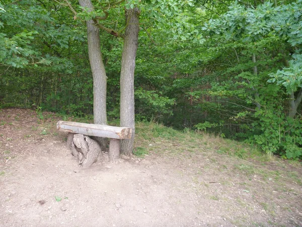 Banco de madeira abandonado vazio sob uma árvore — Fotografia de Stock