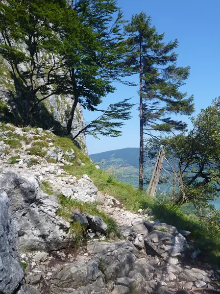 Trekknig alpin dans la région de Mondsee en Autriche — Photo