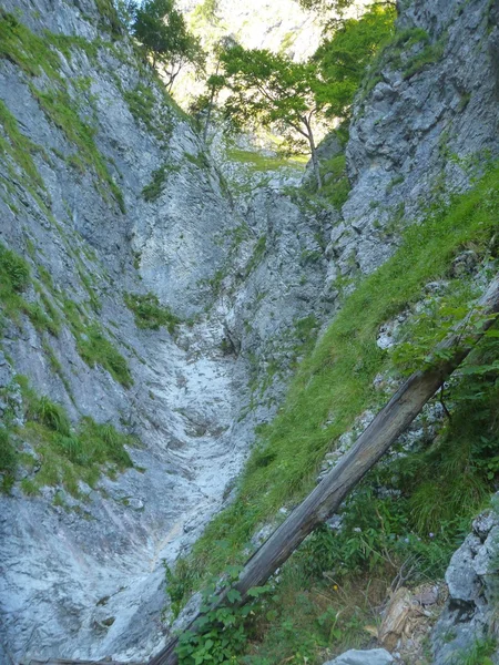 Alpine trekknig at mondsee region in austria — Stock Photo, Image