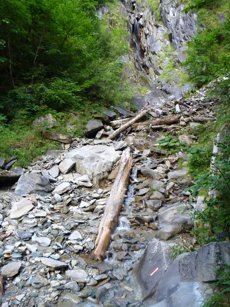 Ruisseau sauvage dans une forêt profonde — Photo