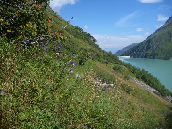 오스트리아 알프스에서 stausee mooserboden 댐 — 스톡 사진