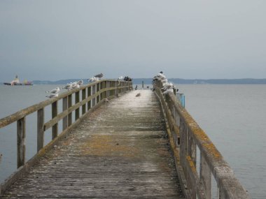 Bir sürü kartalı olan kullanılmamış eski bir iskele köprüsü