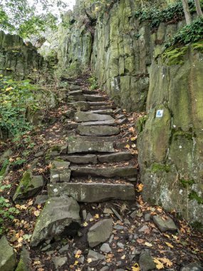 Unutulmuş eski kale Ormanın derinliklerinde harabe