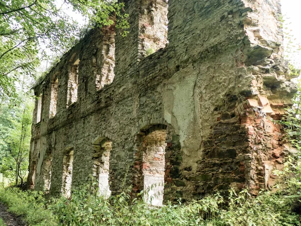 Forgotten Old Castle Ruin Deep Wood — Stock Photo, Image