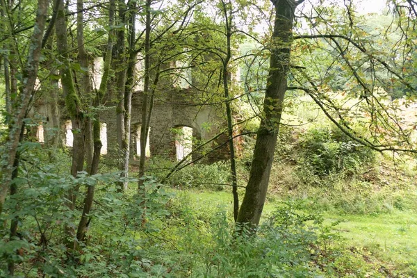 Zapomenutý Starý Hrad Zřícenina Hlubokém Lese — Stock fotografie