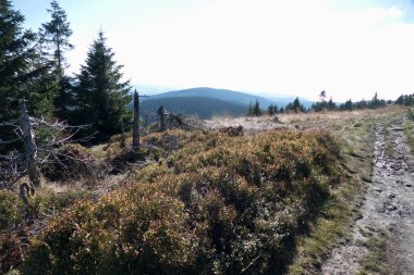 Güneşli bir sonbahar gününde Jeseniky dağlarını kontrol et.