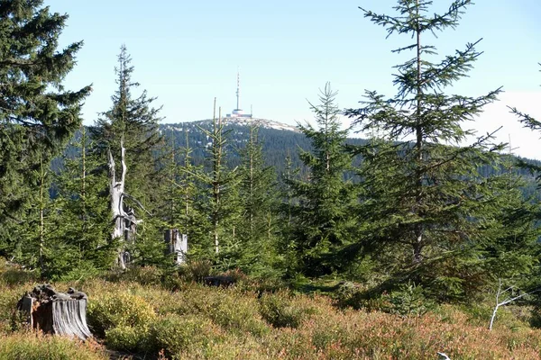 Tschech Jeseniky Berge Einem Sonnigen Herbsttag — Stockfoto