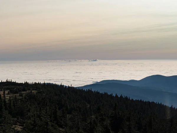 Checo Jeseniky Montañas Por Encima Nube Inversión Tiempo Soleado —  Fotos de Stock