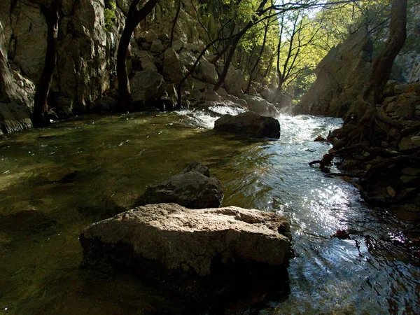 Ruisseau Naturel Dans Gorge Paklenica Croatie — Photo