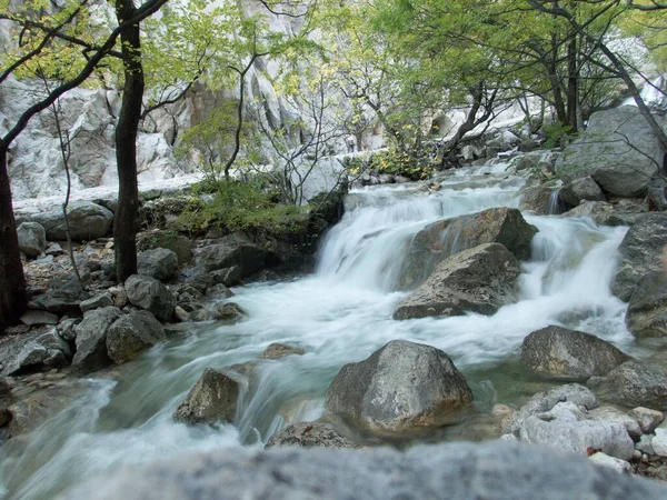 Berühmten Naturpark Paklenica Schlucht Velebit Gebirge Kroatien — Stockfoto