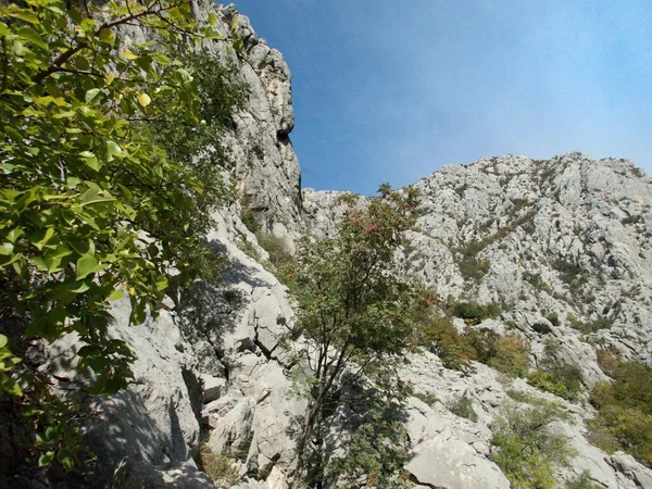 Berühmten Naturpark Paklenica Schlucht Velebit Gebirge Kroatien — Stockfoto
