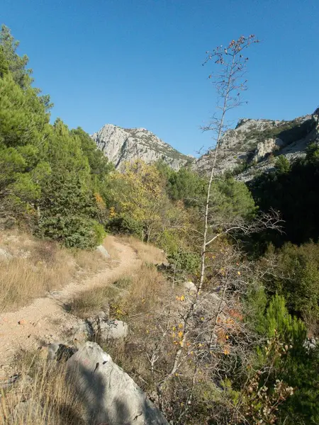 Famous Natural Park Paklenica Gorge Velebit Mountains Croatia Stock Photo