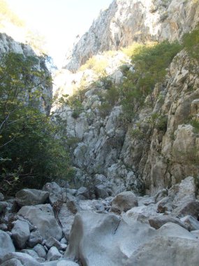 Hırvatistan 'ın Velebit Dağları' ndaki meşhur doğal park Paklenica geçidi