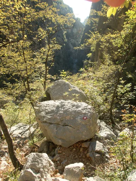 Famoso Parco Naturale Paklenica Gola Velebit Montagne Croazia — Foto Stock