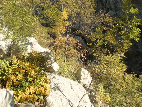 Знаменита Ущелина Природного Парку Горах Круатія — стокове фото