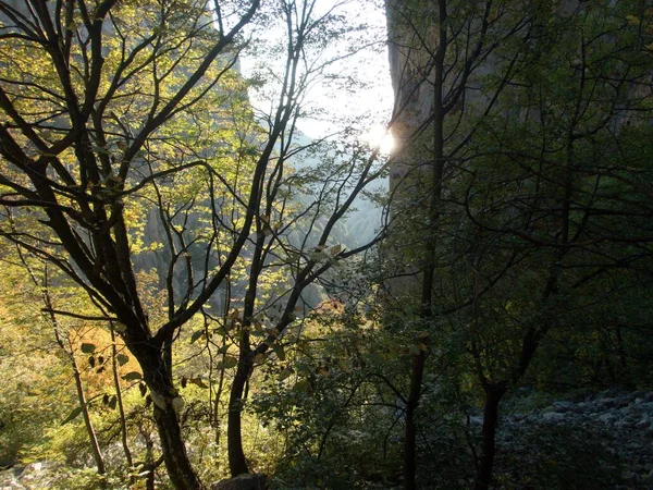 Famous Natural Park Paklenica Gorge Velebit Mountains Croatia — Stock Photo, Image