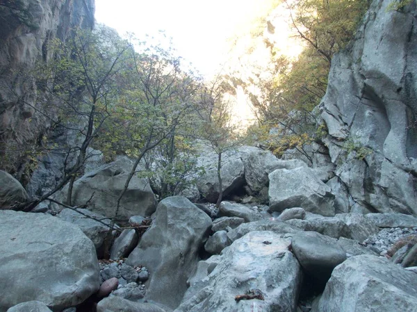 Słynny Park Przyrodniczy Wąwóz Paklenica Górach Velebit Chorwacji — Zdjęcie stockowe