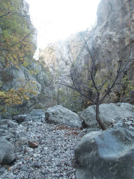 Famous Natural Park Paklenica Gorge Velebit Mountains Croatia — Stock Photo, Image