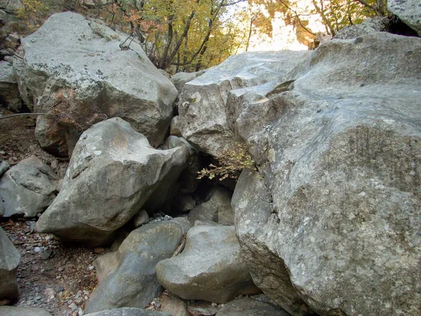 Híres Természeti Park Paklenica Szurdok Velebit Hegyek Horvátországban — Stock Fotó