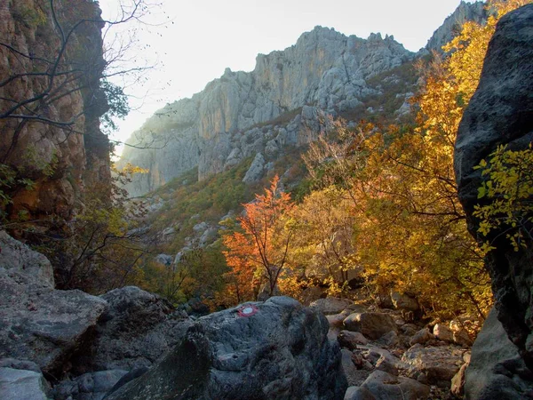 Híres Természeti Park Paklenica Szurdok Velebit Hegyek Horvátországban — Stock Fotó