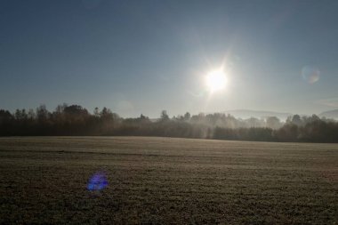 Çimenli bir çayırda serin bir sabah çiğ tanesiyle