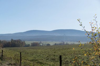 Çimenli bir çayırda serin bir sabah çiğ tanesiyle